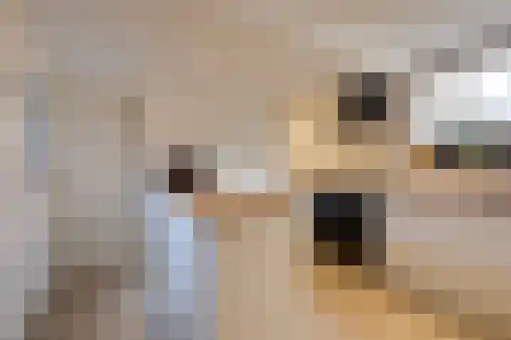 't Weike 7 Duiven thumbnail 25