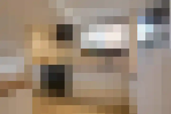 't Weike 7 Duiven thumbnail 26