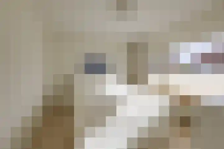't Weike 7 Duiven thumbnail 36