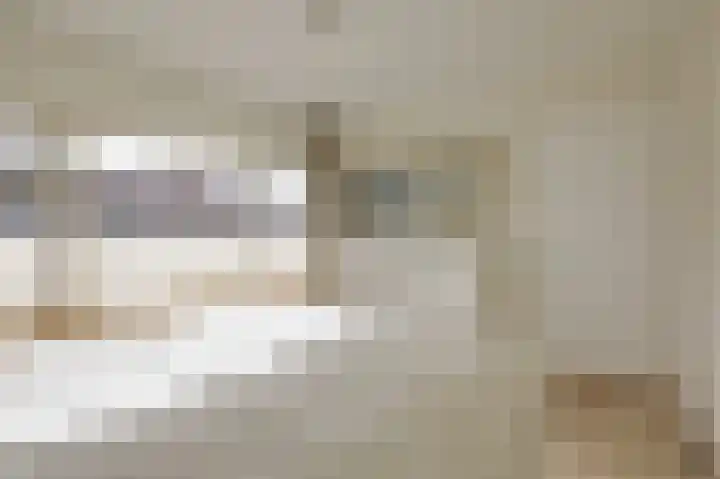 't Weike 7 Duiven thumbnail 38