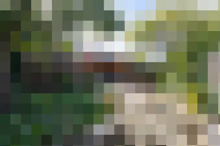't Weike 7 Duiven thumbnail 4
