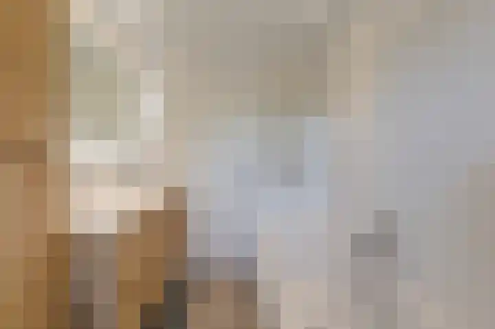 't Weike 7 Duiven thumbnail 46