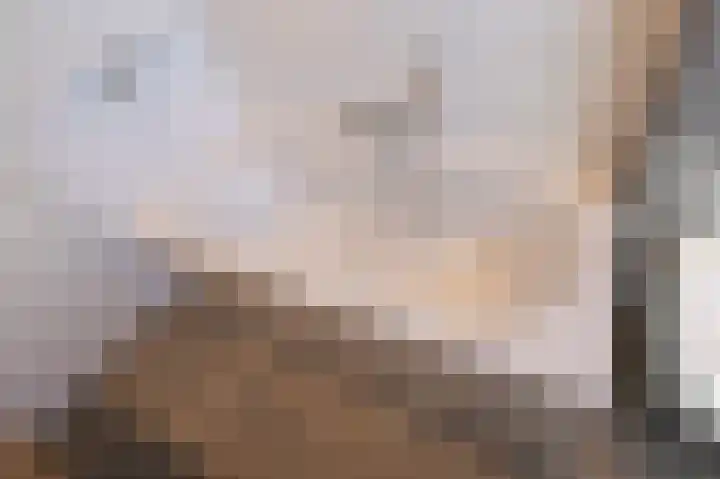 't Weike 7 Duiven thumbnail 47
