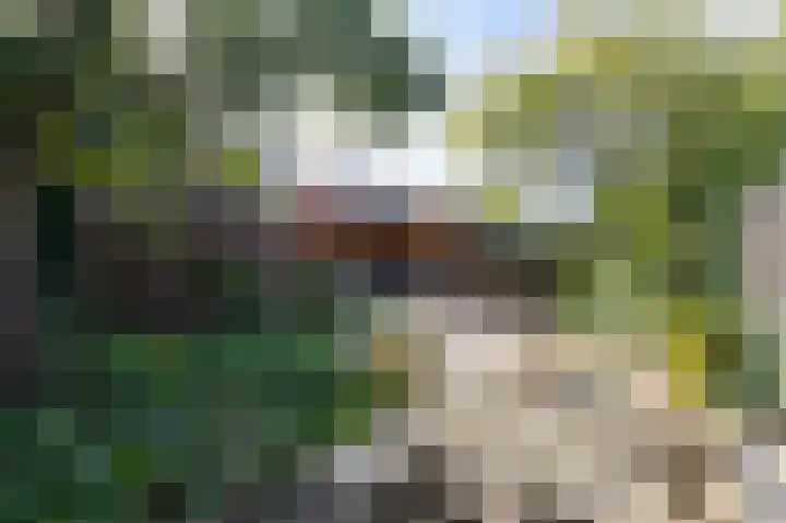 't Weike 7 Duiven thumbnail 52