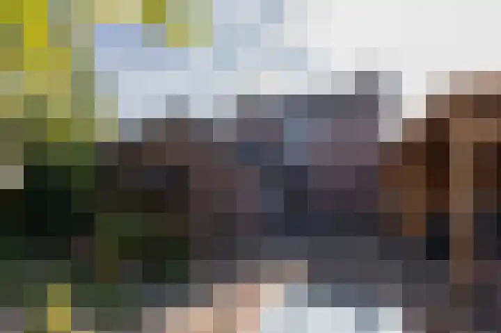 't Weike 7 Duiven thumbnail 53