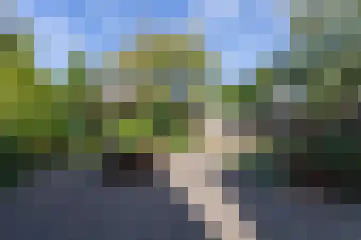 't Weike 7 Duiven thumbnail 59