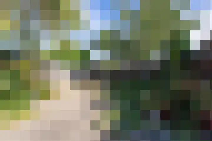 't Weike 7 Duiven thumbnail 60