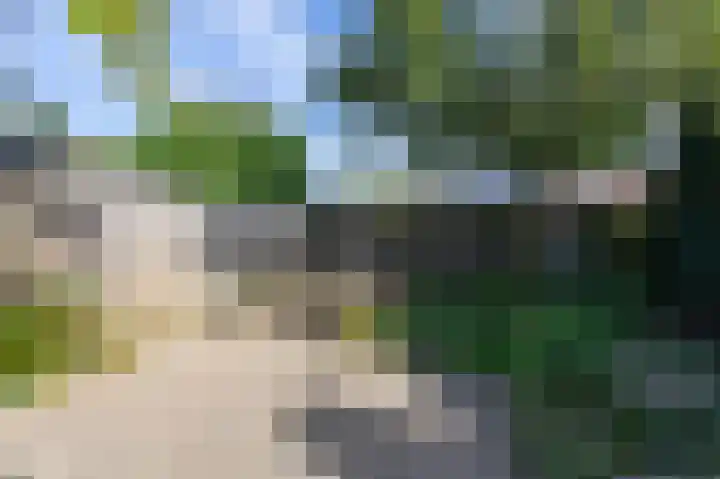 't Weike 7 Duiven thumbnail 61