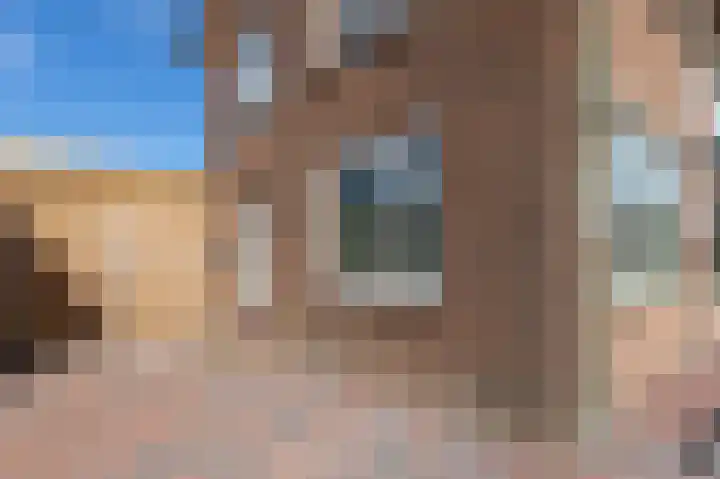 't Weike 7 Duiven thumbnail 9