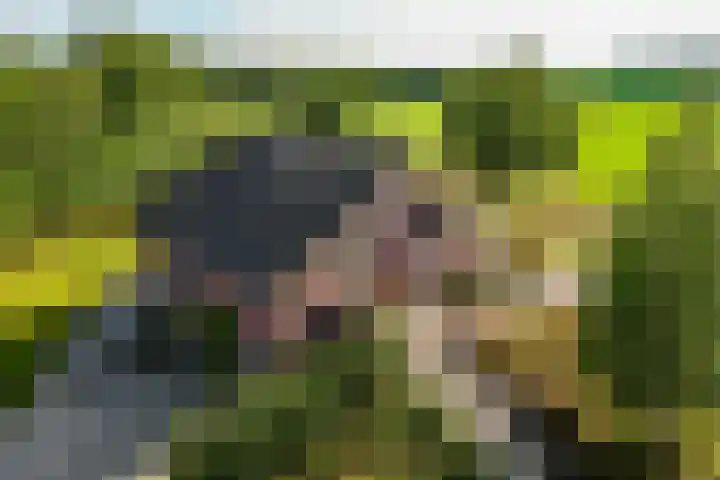 't Wit 1 a Eext thumbnail 12