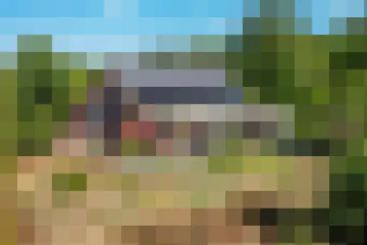 't Wit 1 a Eext thumbnail 13