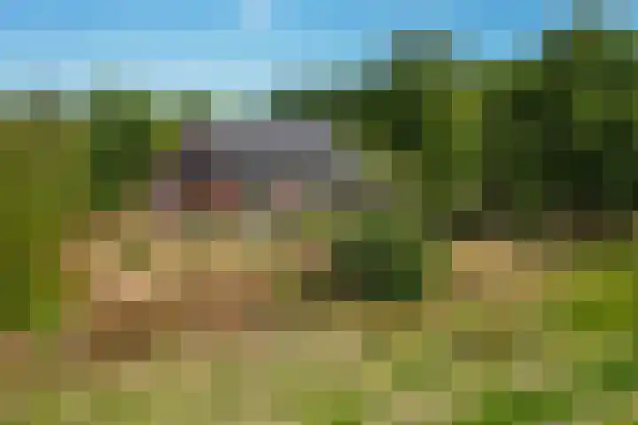 't Wit 1 a Eext thumbnail 14