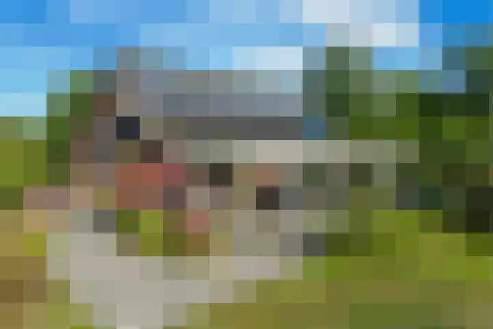 't Wit 1 a Eext thumbnail 15