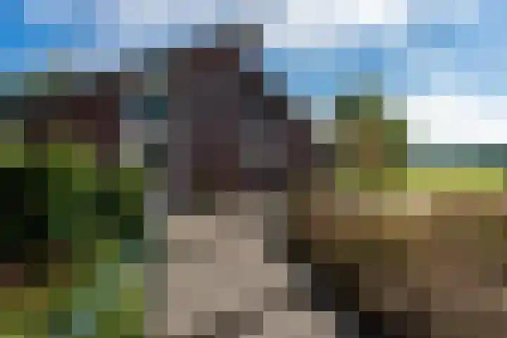 't Wit 1 a Eext thumbnail 16
