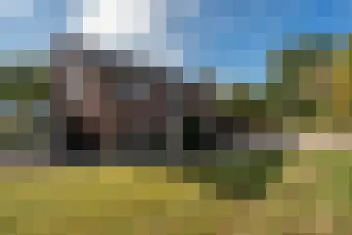 't Wit 1 a Eext thumbnail 18