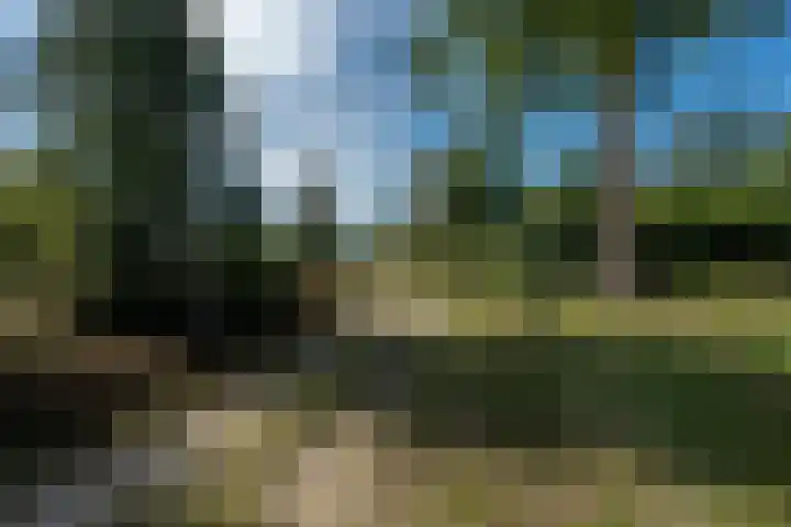 't Wit 1 a Eext thumbnail 19