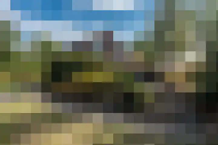 't Wit 1 a Eext foto 2