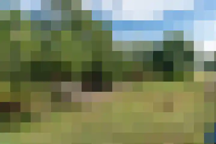 't Wit 1 a Eext thumbnail 20