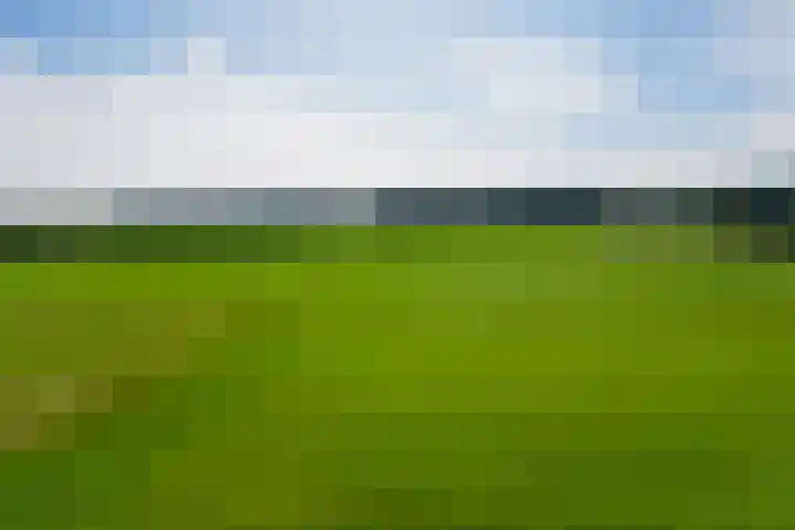 't Wit 1 a Eext thumbnail 21