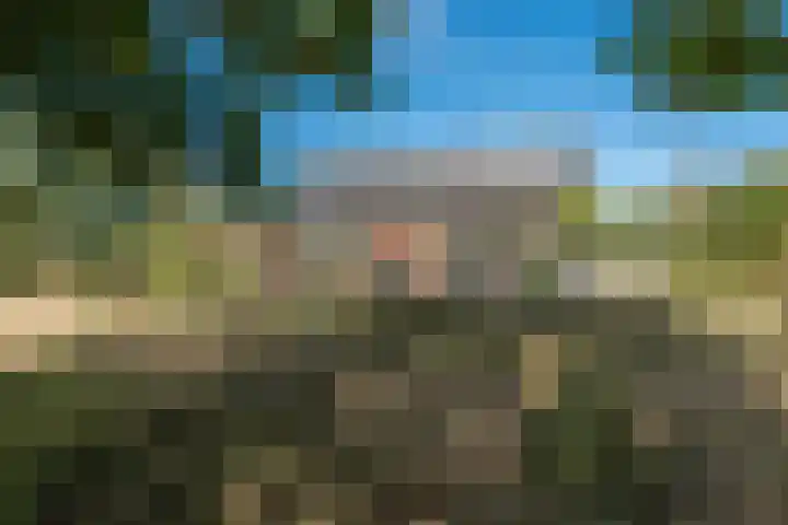 't Wit 1 a Eext thumbnail 22