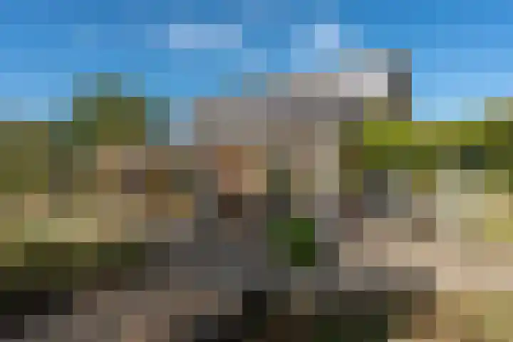 't Wit 1 a Eext thumbnail 23