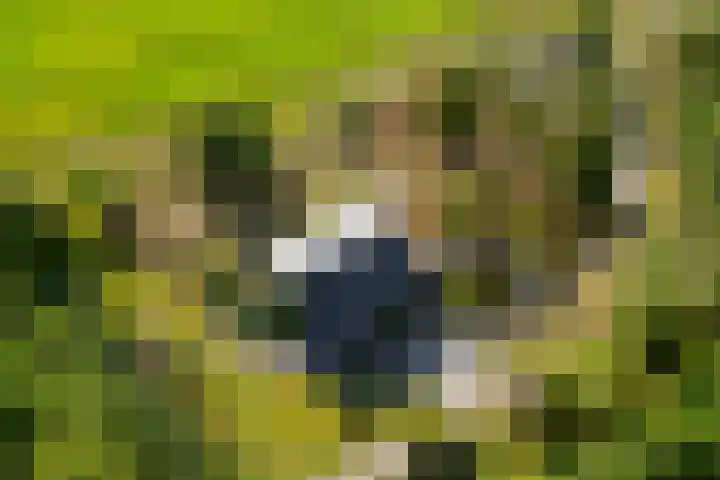 't Wit 1 a Eext thumbnail 24