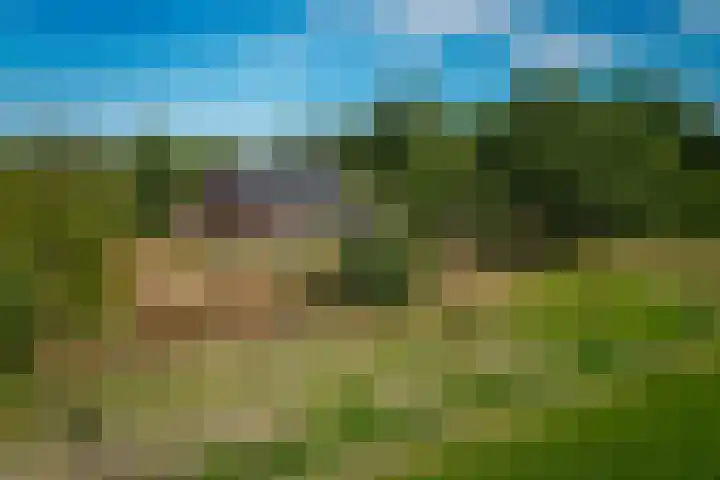 't Wit 1 a Eext thumbnail 25