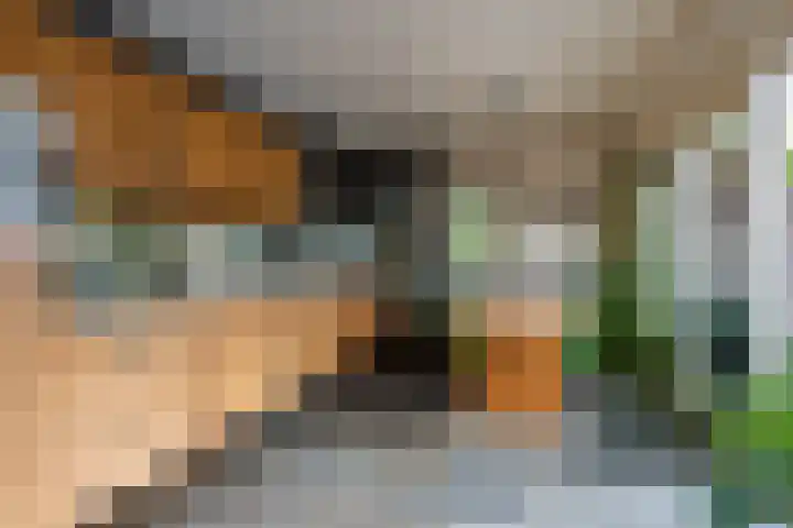 't Wit 1 a Eext thumbnail 29