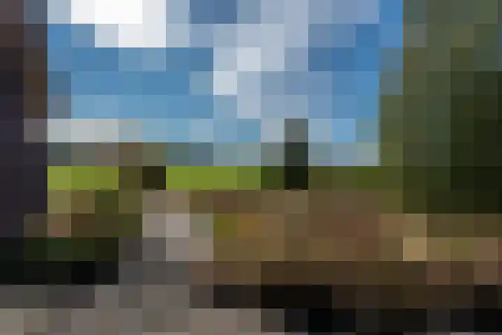 't Wit 1 a Eext foto 3