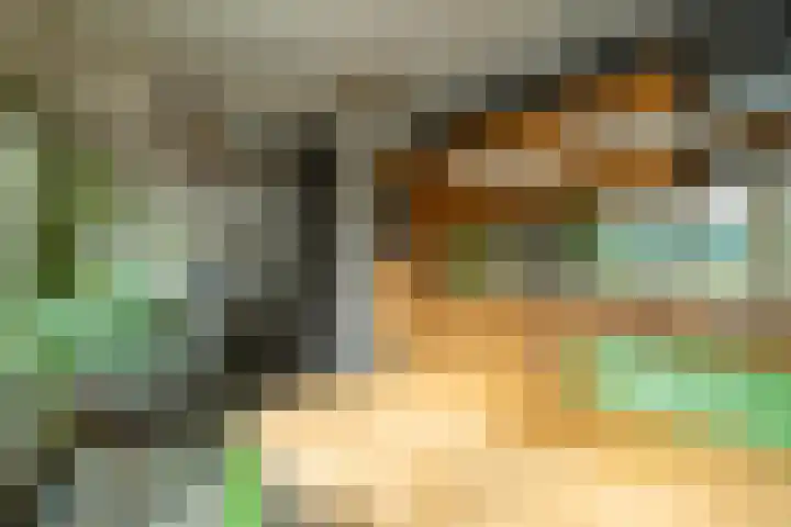 't Wit 1 a Eext thumbnail 30