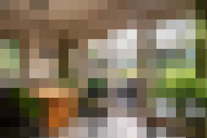 't Wit 1 a Eext thumbnail 32