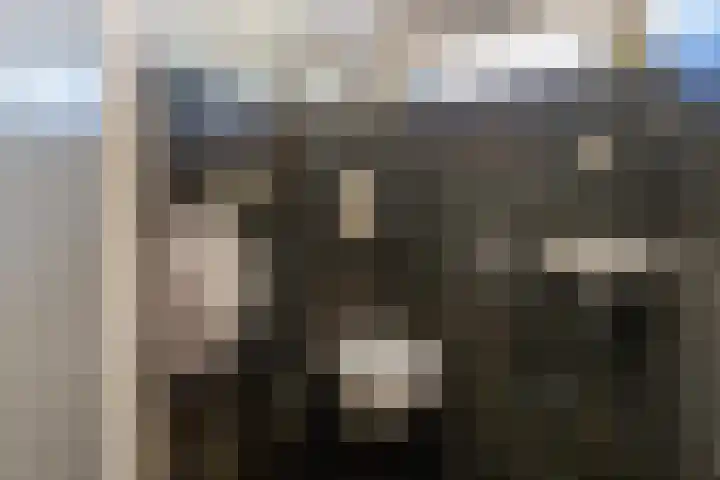 't Wit 1 a Eext thumbnail 33
