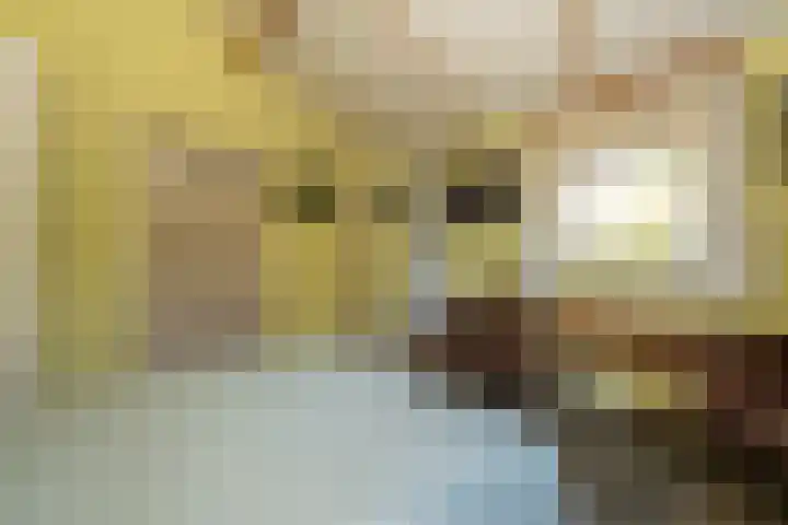 't Wit 1 a Eext thumbnail 38