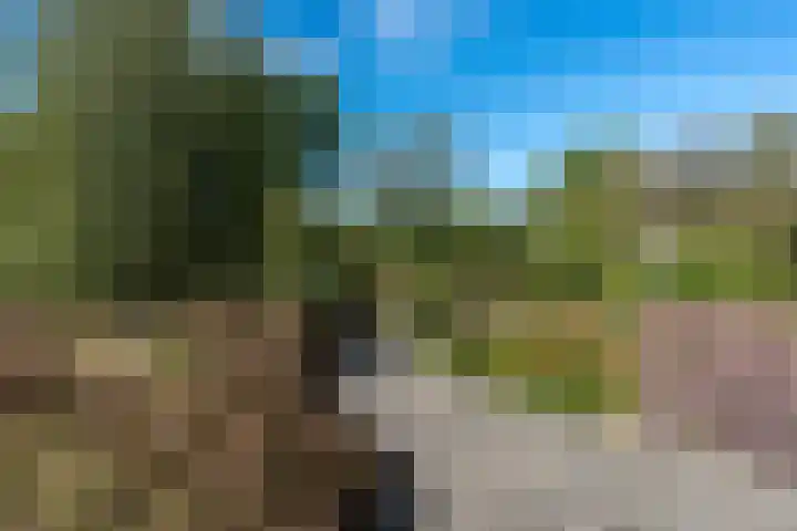 't Wit 1 a Eext thumbnail 4