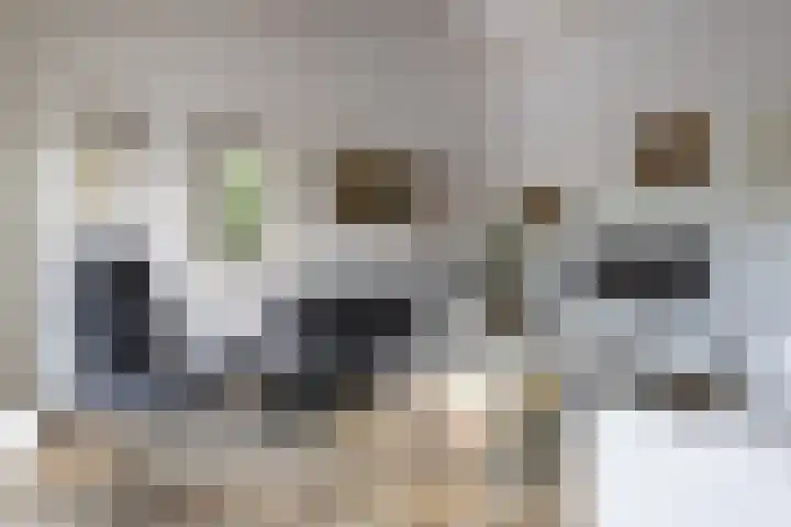 't Wit 1 a Eext thumbnail 5