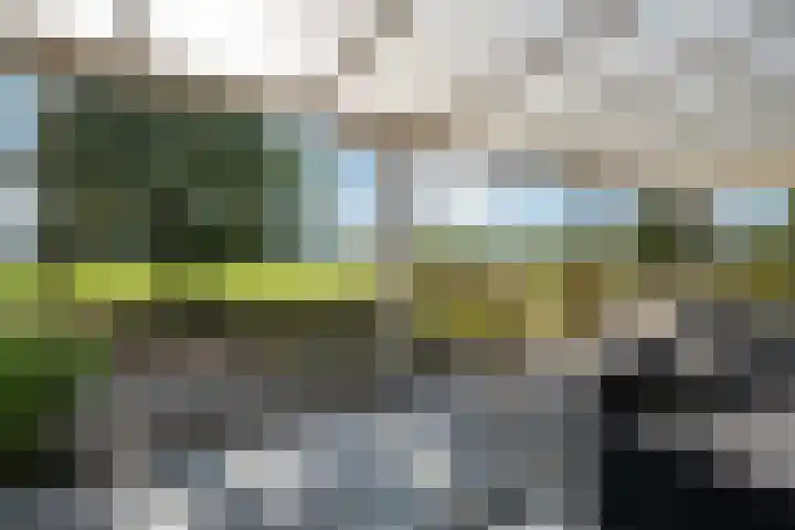 't Wit 1 a Eext thumbnail 50