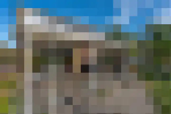 't Wit 1 a Eext thumbnail 51