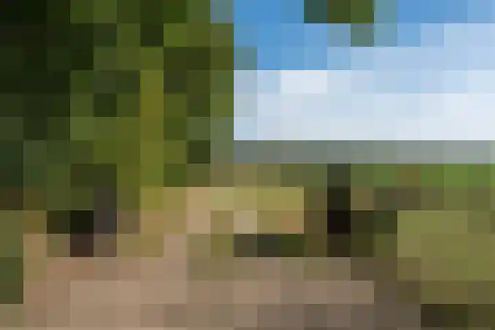 't Wit 1 a Eext thumbnail 53
