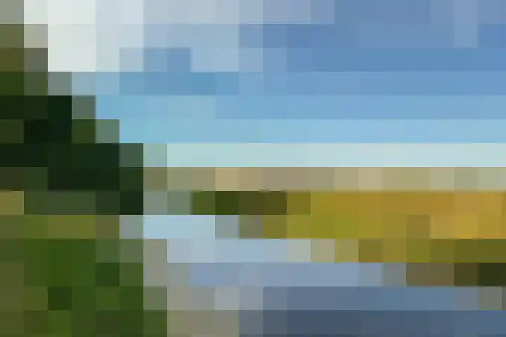 't Wit 1 a Eext thumbnail 54