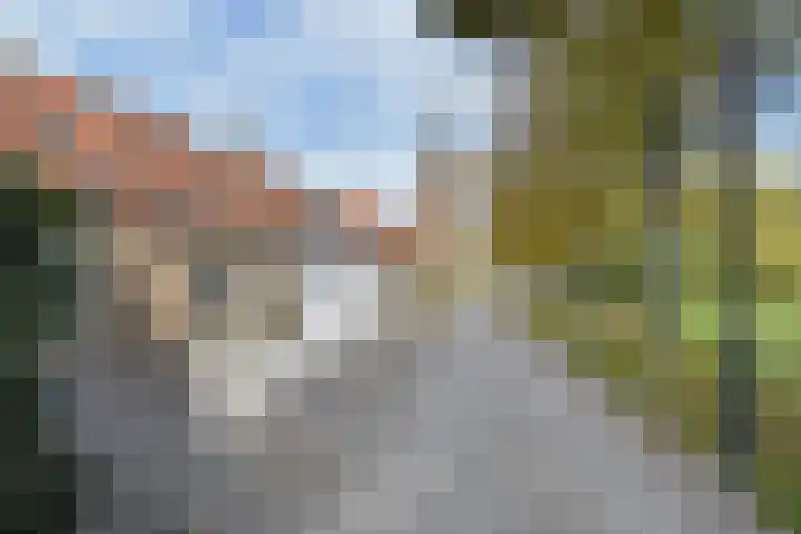 't Woudt 19 in Schipluiden