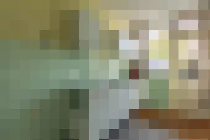 't Wuiver 30 Oudorp thumbnail 14