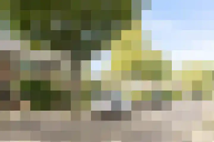 't Wuiver 30 Oudorp thumbnail 32