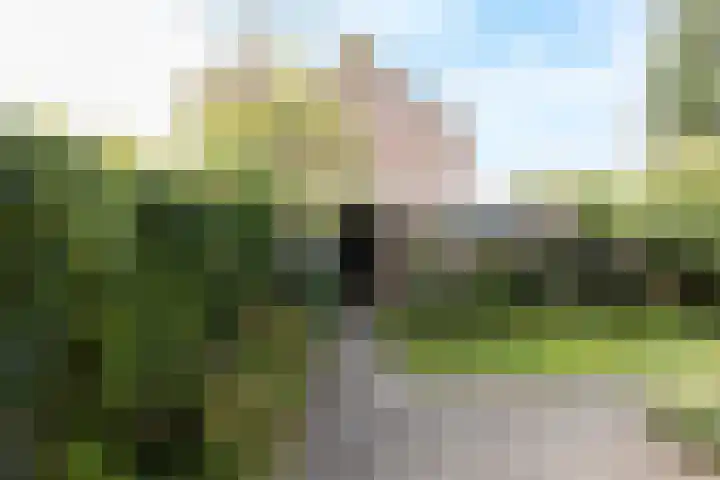 't Wuiver 30 Oudorp thumbnail 5