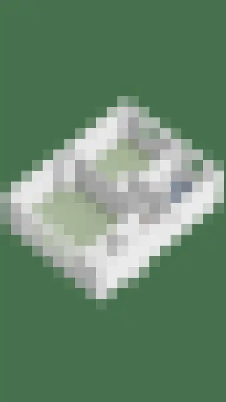 't Zuden 103 Leek