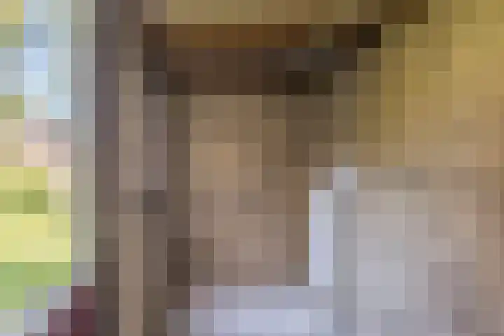 't Zuden 103 Leek thumbnail 11