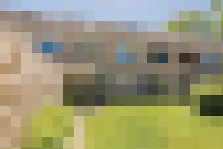 't Zuden 103 Leek thumbnail 13