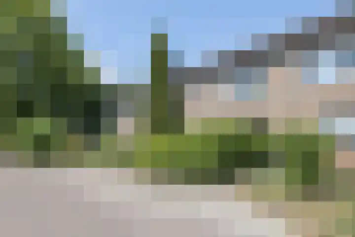 't Zuden 103 Leek foto 2
