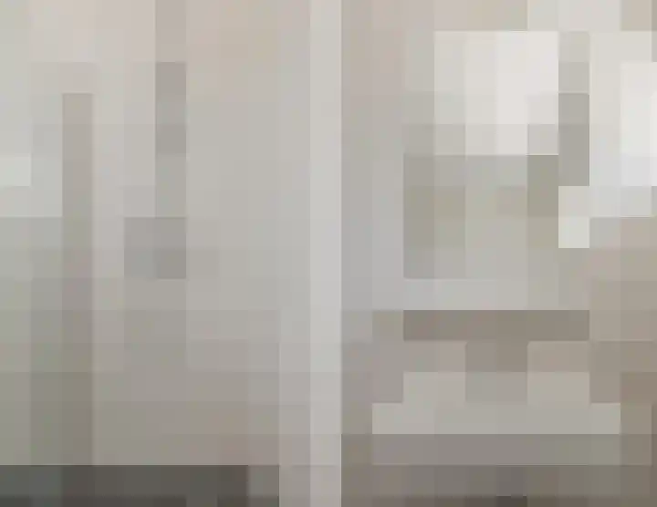 't Zuden 103 Leek thumbnail 20