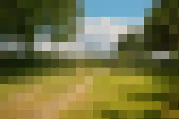 't Zuden 103 Leek thumbnail 21