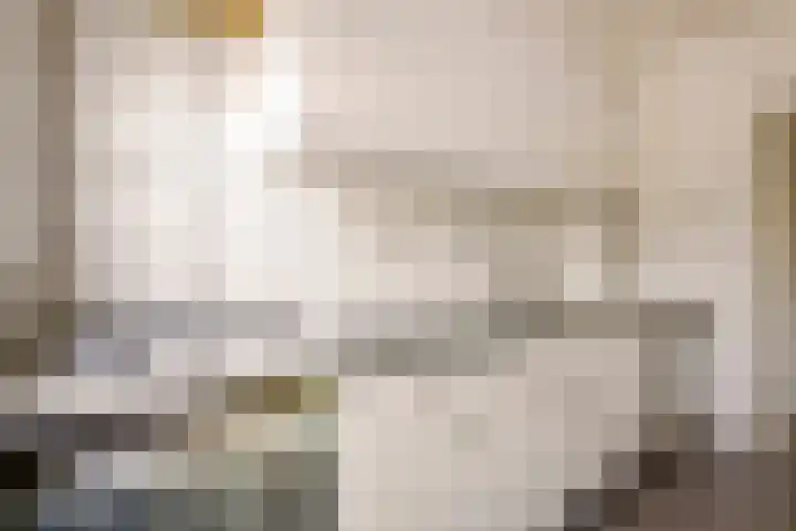 't Zuden 103 Leek thumbnail 23
